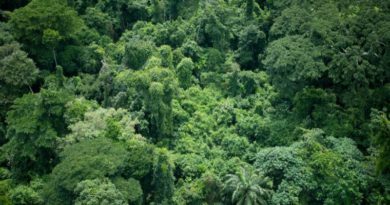 Kongo central : Quelques problèmes environnementaux observés dans la ville de Matadi