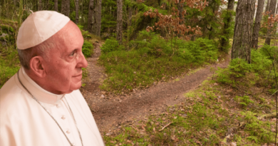 Le point de vue de l’Eglise catholique romaine sur la sauvegarde de l’environnement